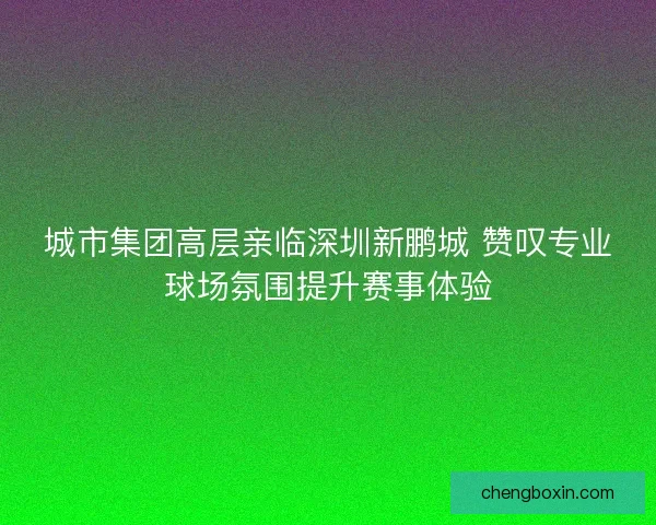 城市集团高层亲临深圳新鹏城 赞叹专业球场氛围提升赛事体验